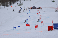 @juriscupski_2026-1101