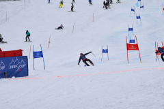 @juriscupski_2026-1110