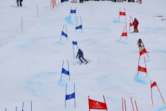 @juriscupski_2026-1181