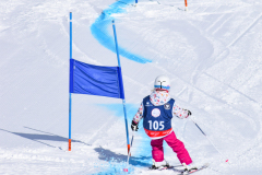 @juriscupski_2026-1209