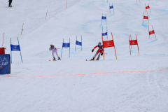 @juriscupski_2026-1231